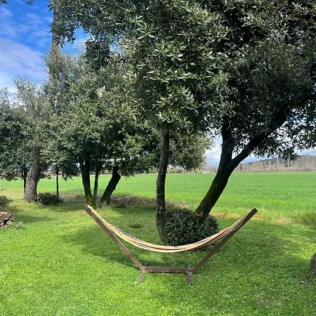 Ferienhaus Maison En Pleine Campagne Avec Piscine Montélimar