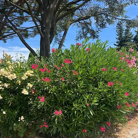Maison En Pleine Campagne Avec Piscine Holiday home Montelimar