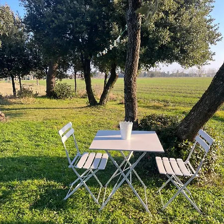 Maison En Pleine Campagne Avec Piscine